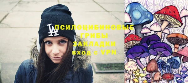 мдпв Михайлов