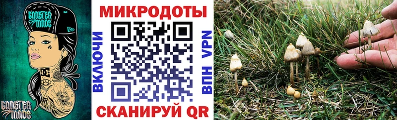 купить  сайты  Чехов  Галлюциногенные грибы прущие грибы 